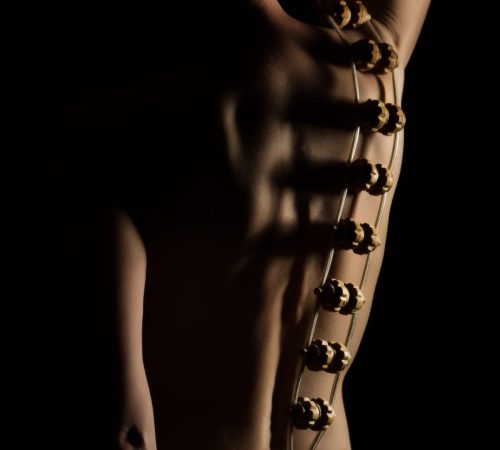Back
