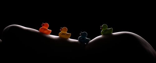 Ducks